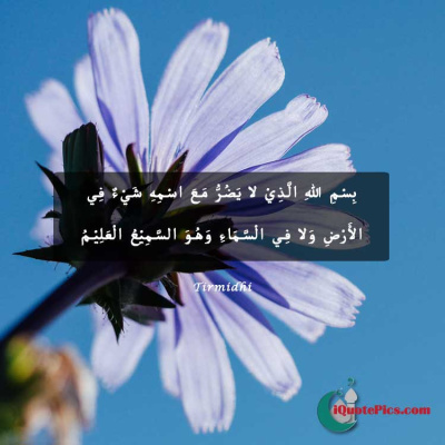 Protection Islamic Quotes