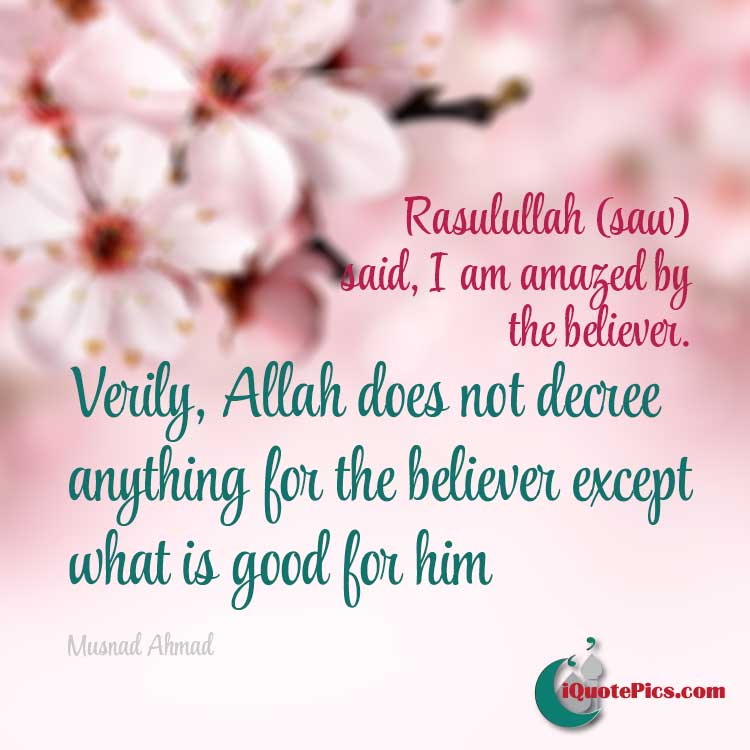 picture with quote of I am amazed by the believer. Verily, Allah does not decree anything for the believer except what is good for him.