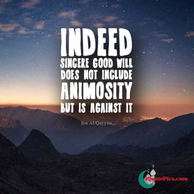 Picture with quote of Indeed, sincere good will does not include animosity, but is against it.