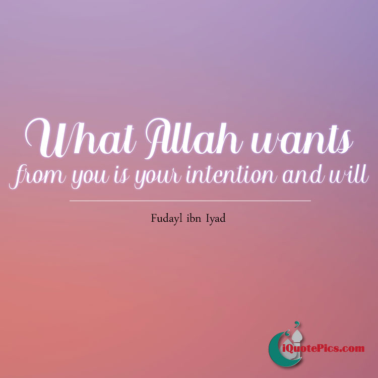 picture with quote of What Allah wants from you is your intention and will.