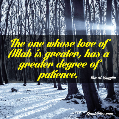 Picture with quote of The one whose love of Allah is greater, has a greater degree of patience.
