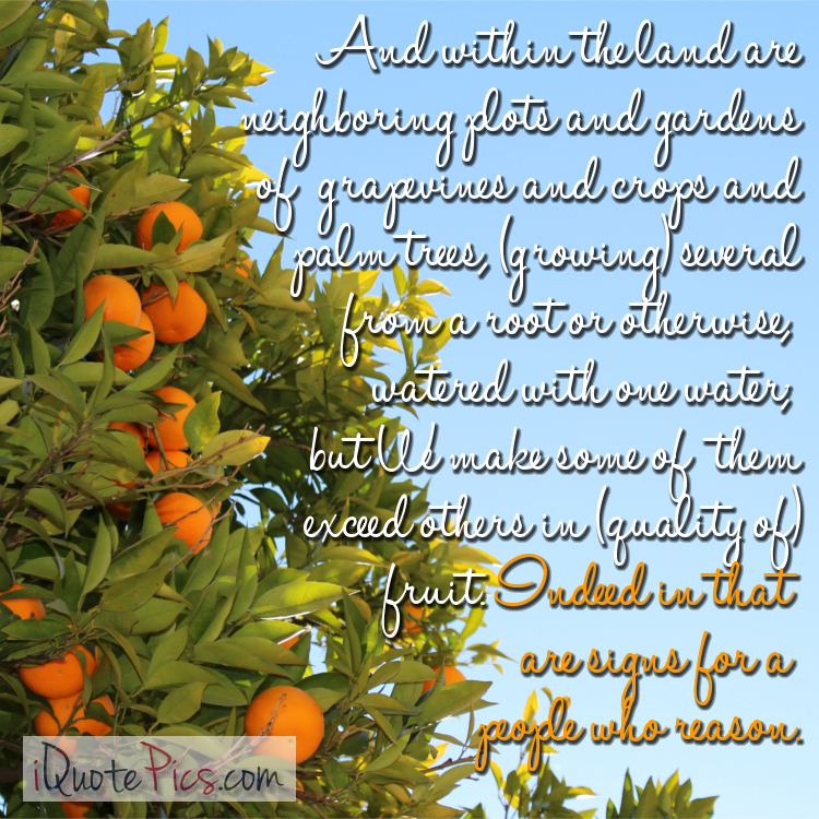picture with quote of And within the land are neighboring plots and gardens of grapevines and crops and palm trees, (growing) several from a root or otherwise, watered with one water; but We make some of them exceed others in (quality of) fruit. Indeed in that are signs for a people who reason.