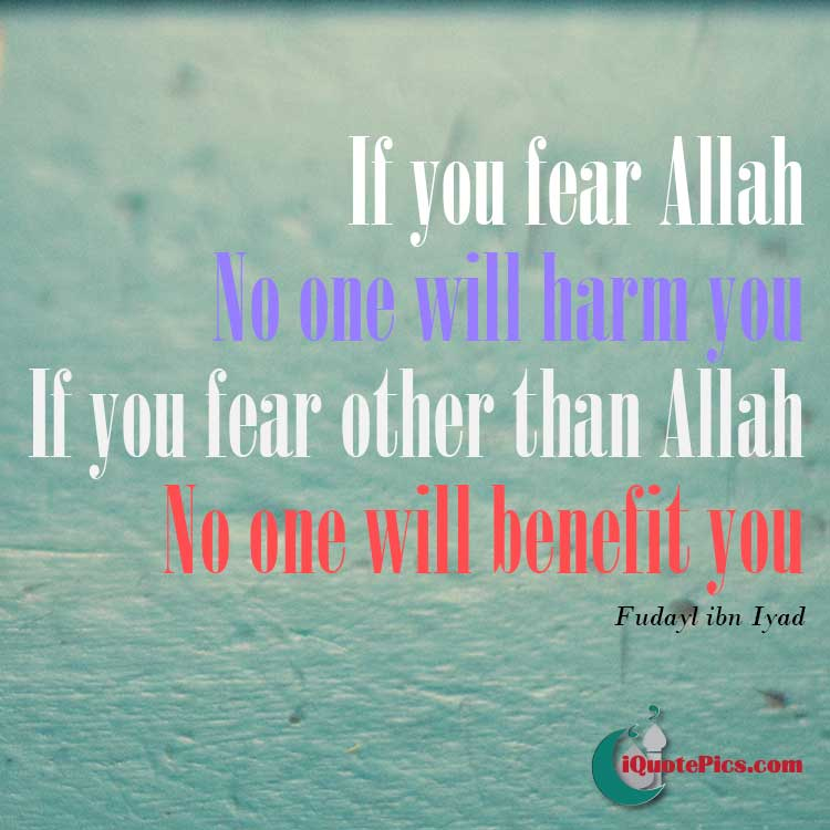 picture with quote of If you fear Allah, no one will harm you, and if you fear other than Allah, no one will benefit you.