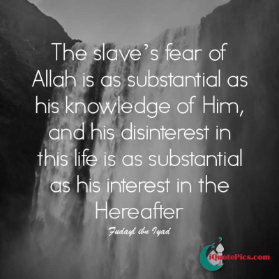 Picture with quote of The slave's fear of Allah is as substantial as his knowledge of Him, and his disinterest in this life is as substantial as his interest in the Hereafter.
