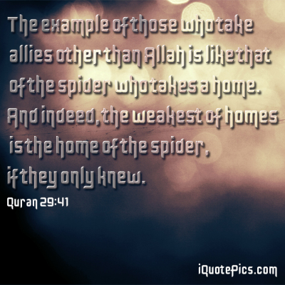 Picture with quote of The example of those who take allies other than Allah is like that of the spider who takes a home. And indeed, the weakest of homes is the home of the spider, if they only knew.