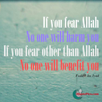 Picture with quote of If you fear Allah, no one will harm you, and if you fear other than Allah, no one will benefit you.